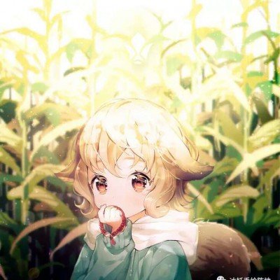 盗采 贩卖！境外黑手伸向生态领域